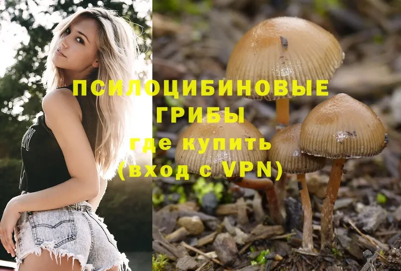 Галлюциногенные грибы Magic Shrooms  KRAKEN ссылка  Ува 